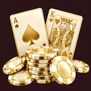 Poker playing cards — Vincispin